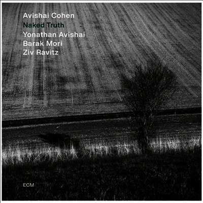 Avishai Cohen — Naked Truth 앨범 커버