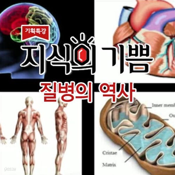 지식의 기쁨: 질병의 역사