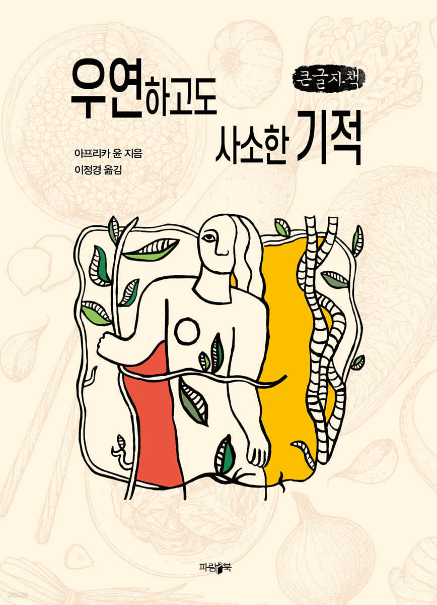 우연하고도 사소한 기적 (큰글씨책)