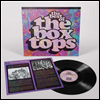 Box Tops - The Best Of (LP)