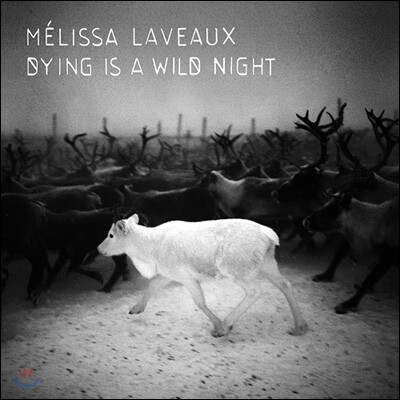 Melissa Laveaux — Dying Is Wild Night 앨범 커버