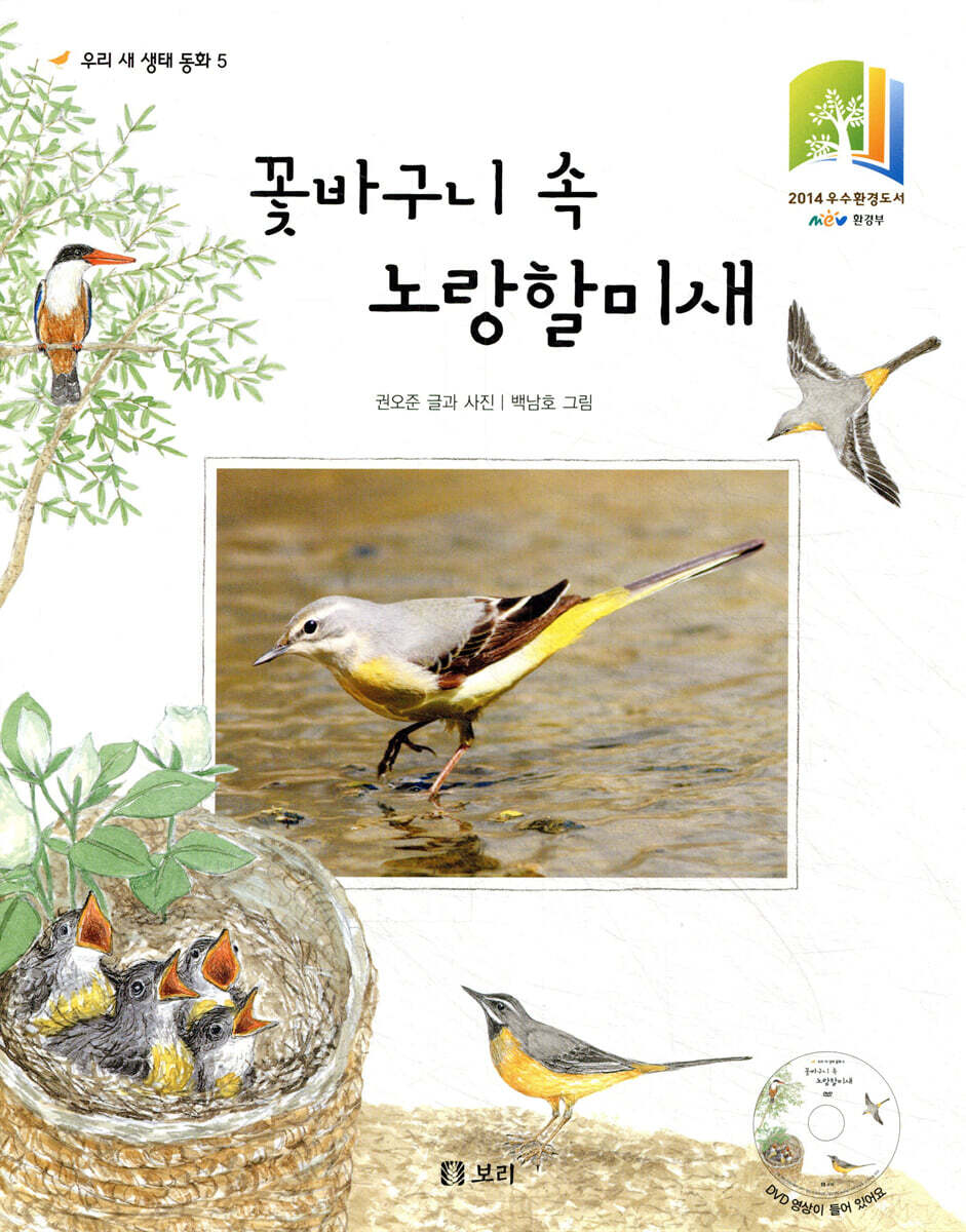 꽃바구니 속 노랑할미새