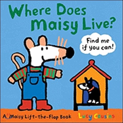 Where Does Maisy Live?