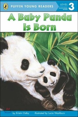 Baby Panda Is Born