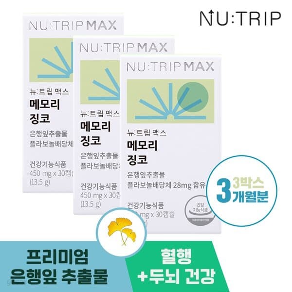 [뉴트립] 메모리 징코 450mg*90캡슐 (3박스/3개월분)