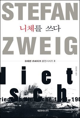 니체를 쓰다