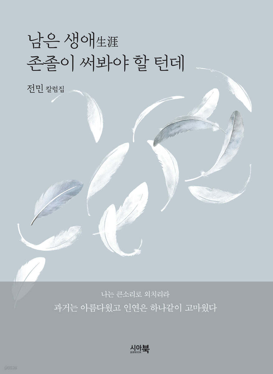 남은 생애生涯  존졸이 써봐야 할 턴데