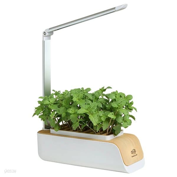 레벤트 PP310 가정용 스마트팜 친환경 식물 수경 재배기 거실화분 실내 가습 공기정화