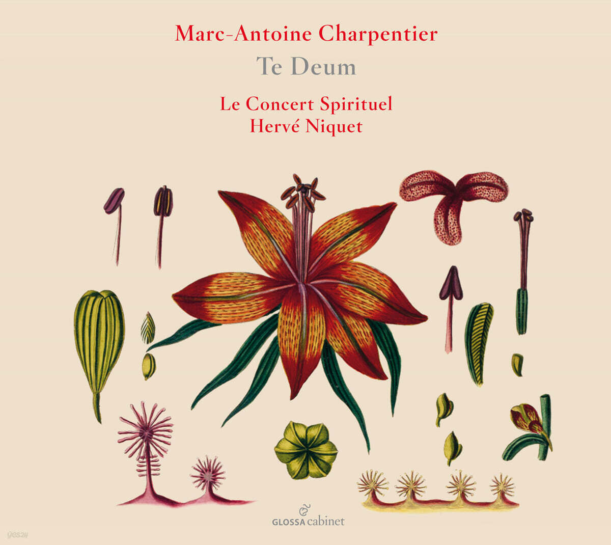 Herve Nique 샤르팡티에: '테데움', '딕스트 도미누스' 외 (Charpentier: Te Deum)