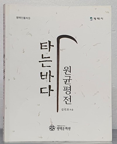 타는 바다 - 원균 평전