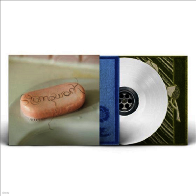 Dry Cleaning — Stumpwork 앨범 커버