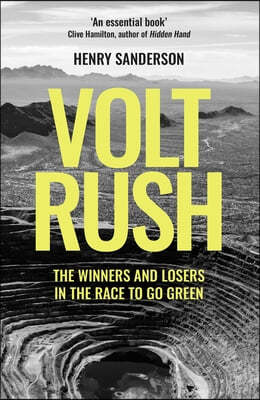 Volt Rush: The Winners and Losers in the Race to Go Green