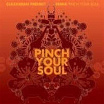 Ŭ (Clazziquai) / Pinch Your Soul (2nd Remix Album)