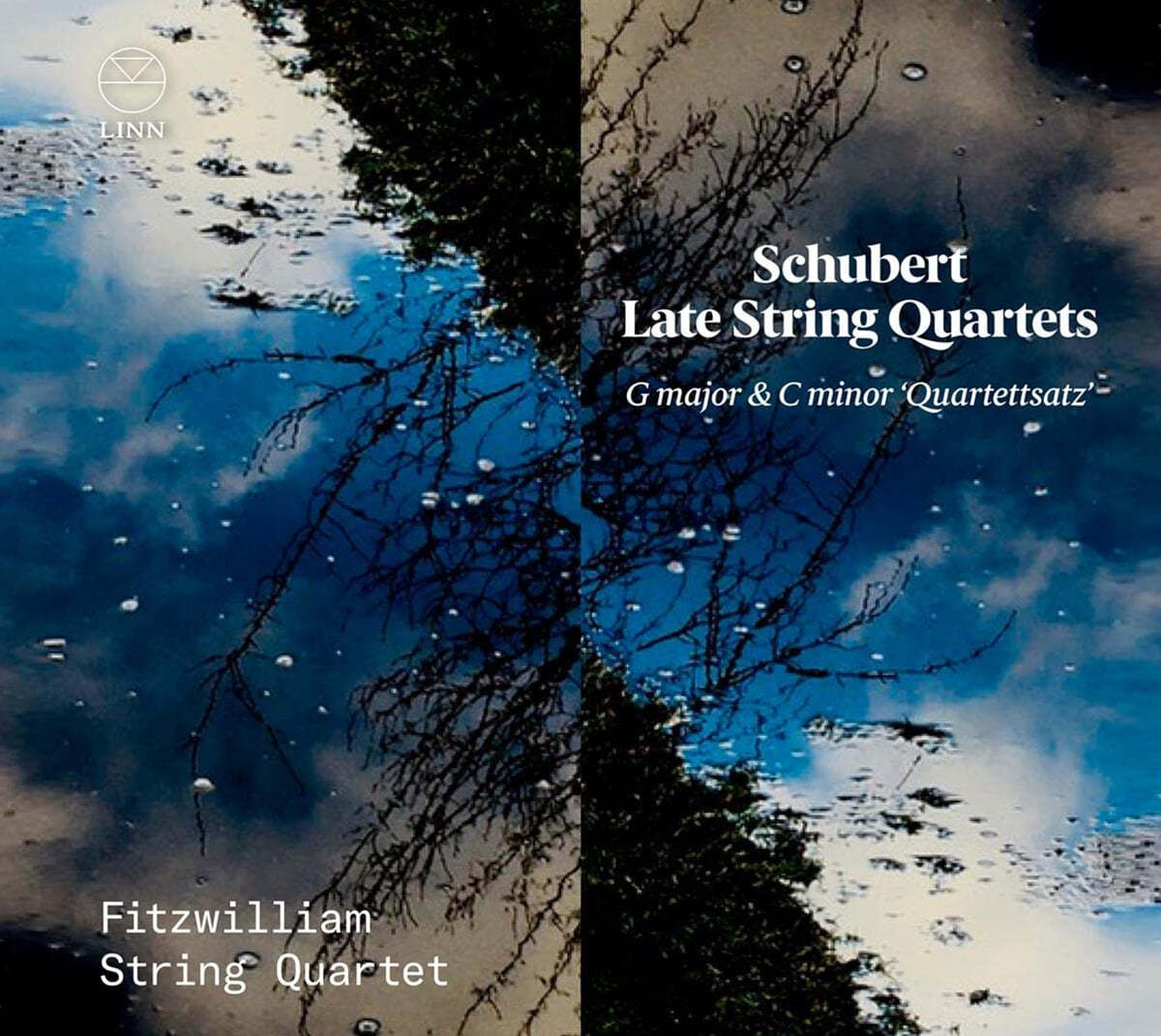 Fitzwilliam Quartet 슈베르트: 현악 사중주 12번, 15번 (Schubert: Late String Quartets `Quartettsatz')