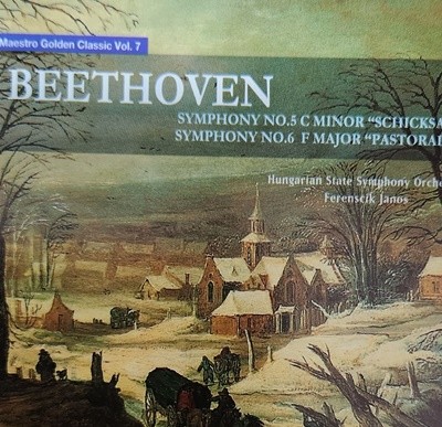 beethoven symphony no5.6