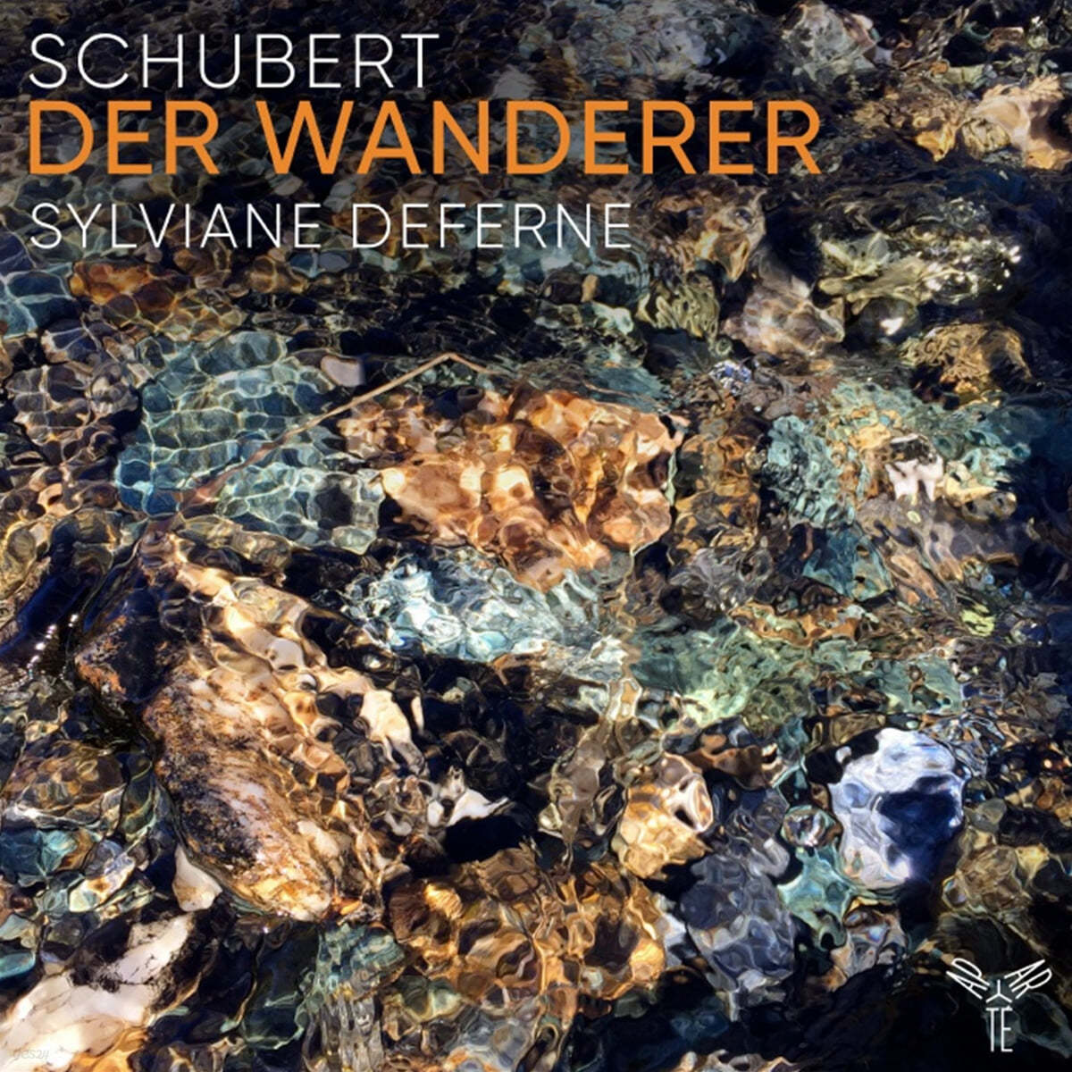 Sylviane Deferne 슈베르트: 즉흥곡 D.576, 휴텐브레너 주제에 의한 변주곡 / 리스트: 방랑자 편곡 (Schubert: Der Wanderer)