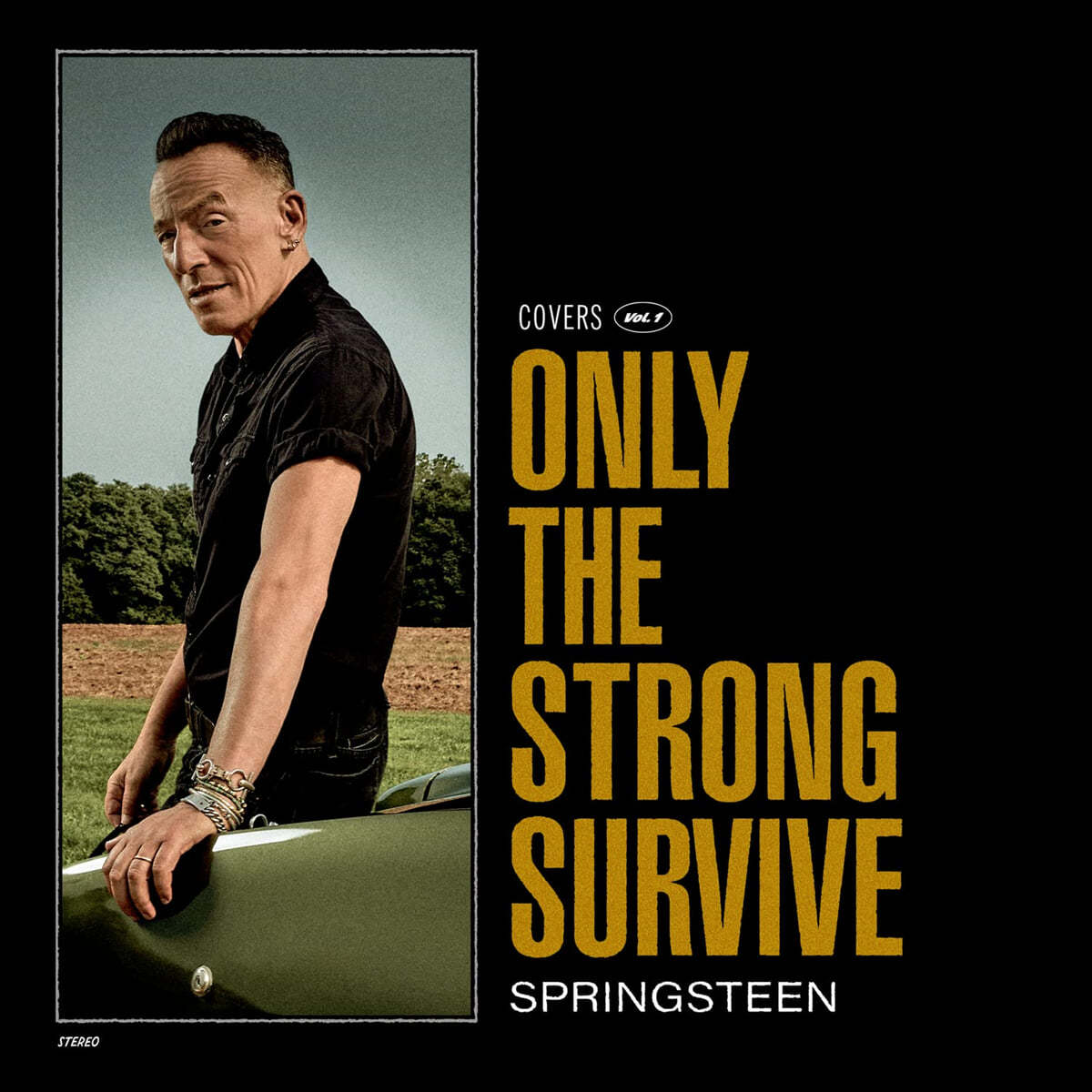 Bruce Springsteen (브루스 스프링스틴) - 21집 Only the Strong Survive [오르빗 오렌지 컬러 2LP]