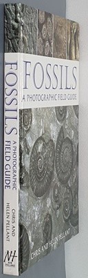 Fossils : A Photographic Field Guide 