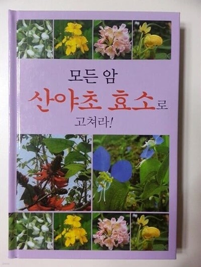 모든 암 산야초 효소로 고쳐라!(한국의 산야초)-양장