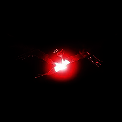 El-P — I'll Sleep When You're Dead 앨범 커버