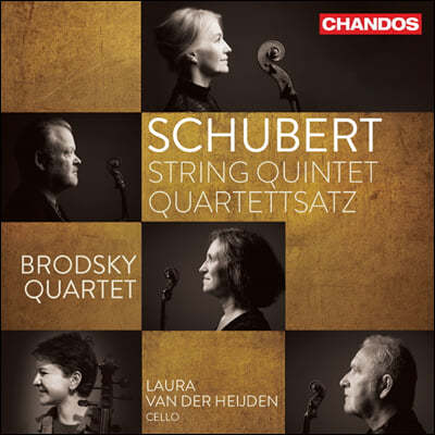 Brodsky Quartet Ʈ:   12 'ܾ',  5 (Schubert: String Quartet D.703 'Quartettsatz' D.956)