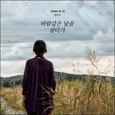 정미조 — 바람같은 날을 살다가 앨범 커버