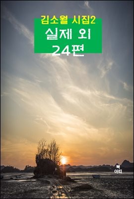 김소월 시집2_  실제 외 24편