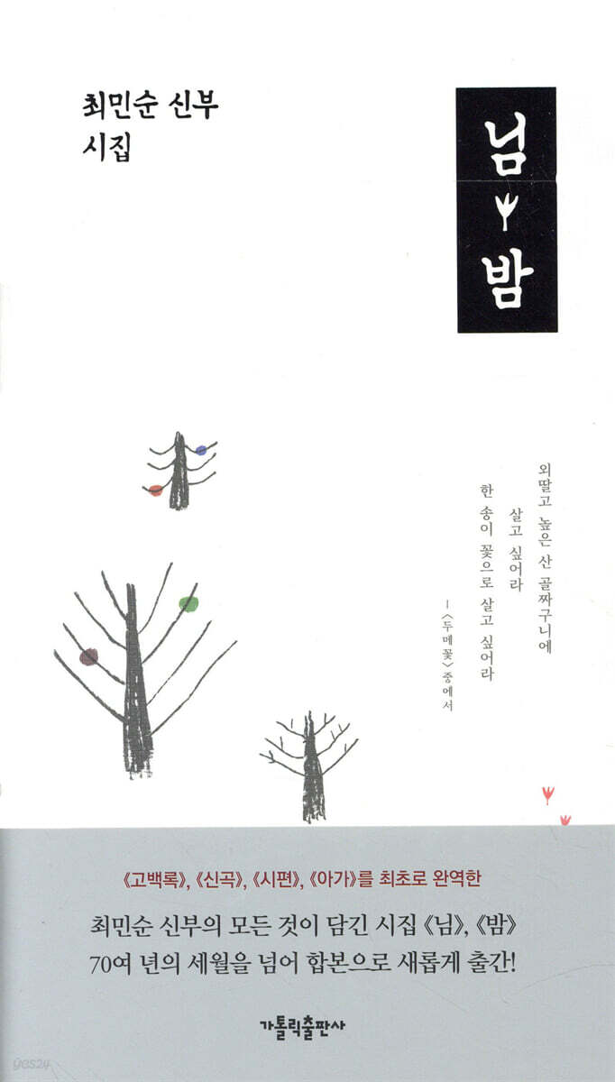 님 · 밤