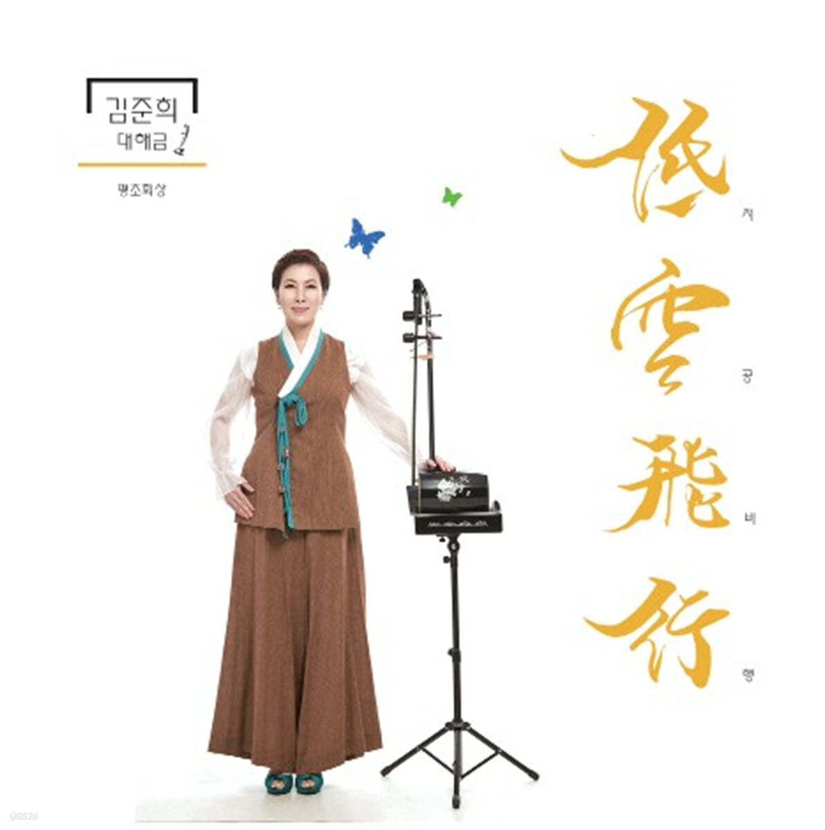 김준희 - 대해금 “저공비행 평조회상”
