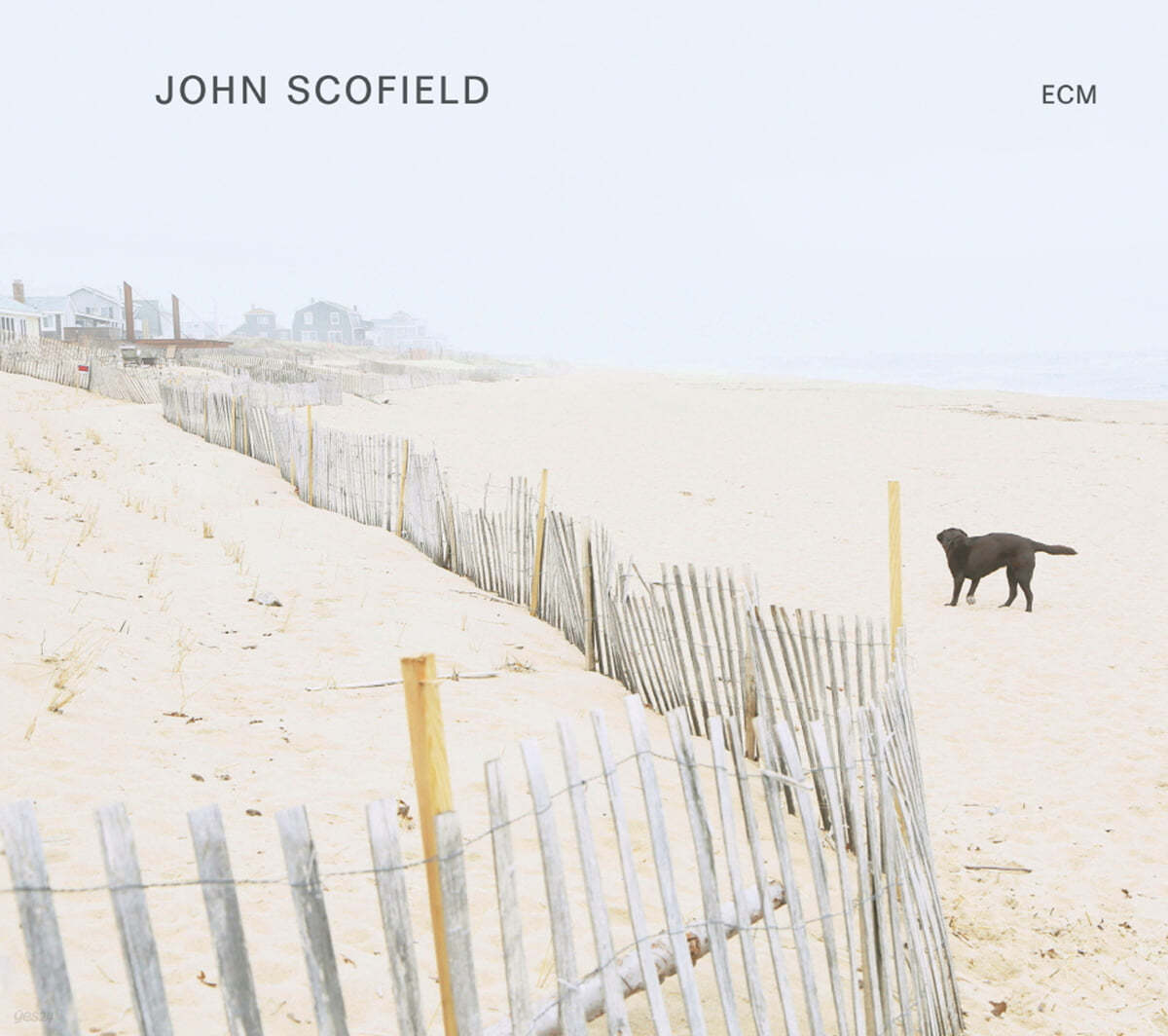John Scofield (존 스코필드) - John Scofield [LP] 