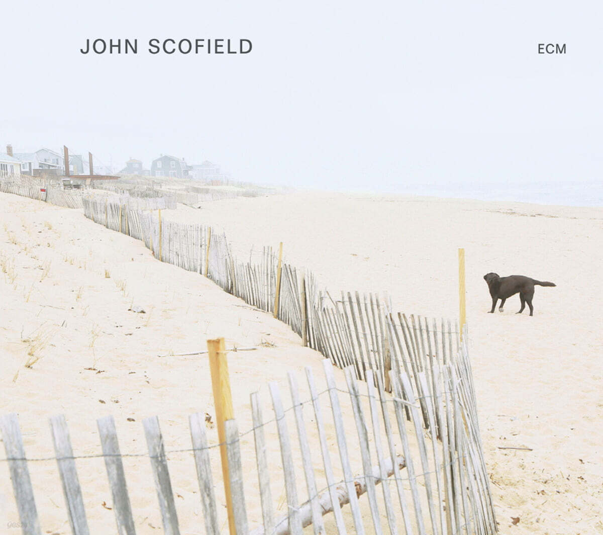John Scofield (존 스코필드) - John Scofield [LP]