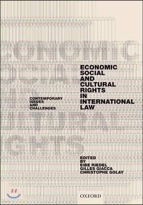 Economic, Social, and Cultural Rights in International Law