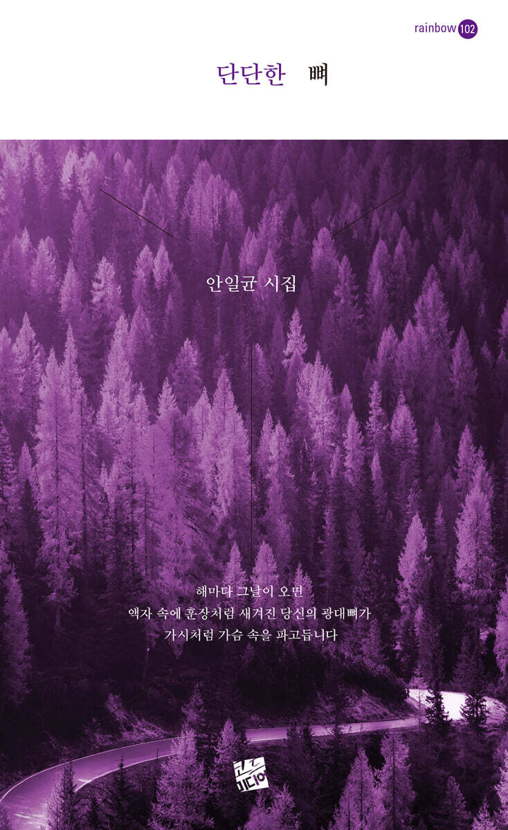 단단한 뼈