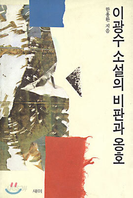 이광수 소설의 비판과 옹호