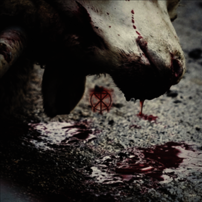 To The Grave — Directors Cuts 앨범 커버