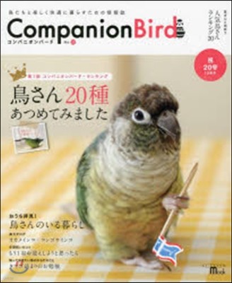 Companion Bird  20