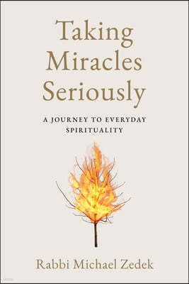 Taking Miracles Seriously: A Journey to Everyday Spirituality