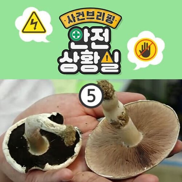 안전교육 시리즈 - 사건 브리핑: 안전 상황실 5