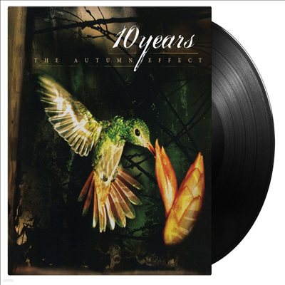 10 Years - Autumn Effect (180g LP)