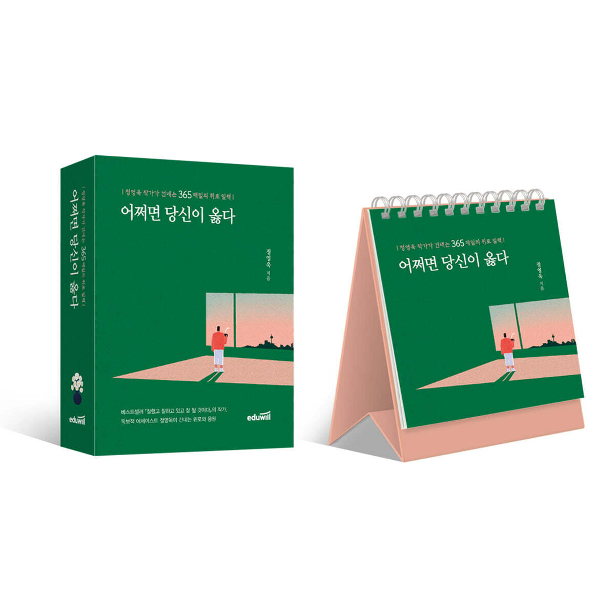 어쩌면 당신이 옳다 