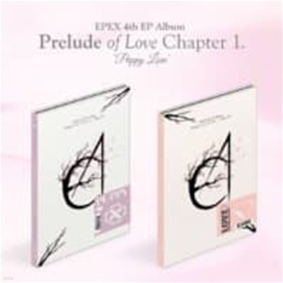[미개봉] 이펙스 (EPEX) / 사랑의 서 Chapter 1. Puppy Love (4th EP) (Puppy/Love Ver. 랜덤 발송)