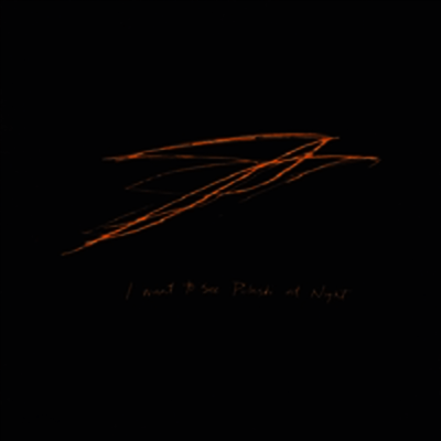Andrew Bird - Want To See Pulaski At Night (Digipack)(CD)