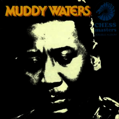 Muddy Waters - King of the Blues: The Best of Muddy Waters (Limited Edition)(LP)