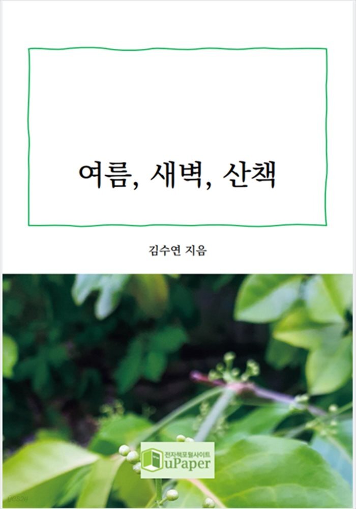 여름, 새벽, 산책