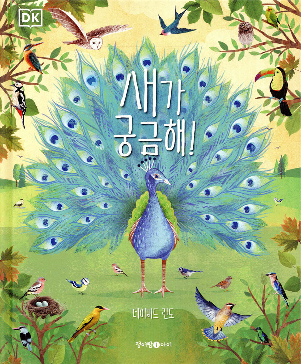 DK 새가 궁금해!