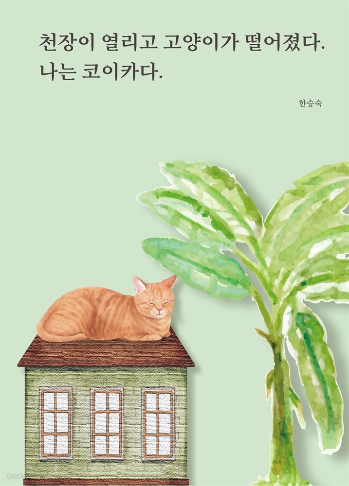 천장이 열리고 고양이가 떨어졌다. 나는 코이카다.