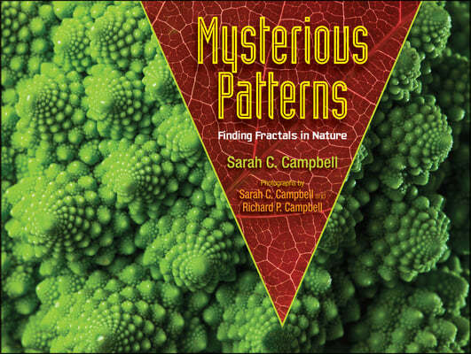 Mysterious Patterns: Finding Fractals in Nature