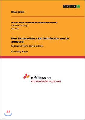 How Extraordinary Job Satisfaction can be achieved: Examples from best practises