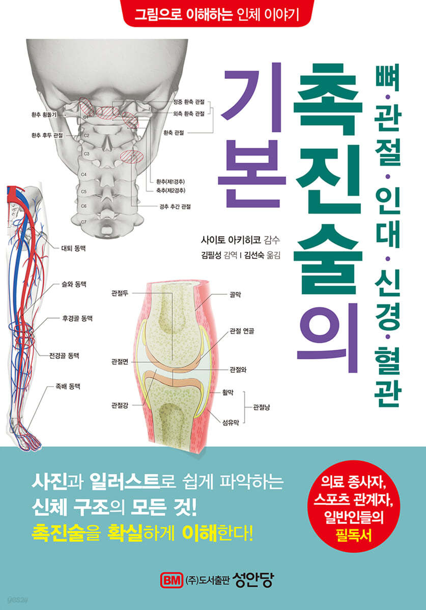 뼈 · 관절 · 인대 · 신경 · 혈관 촉진술의 기본