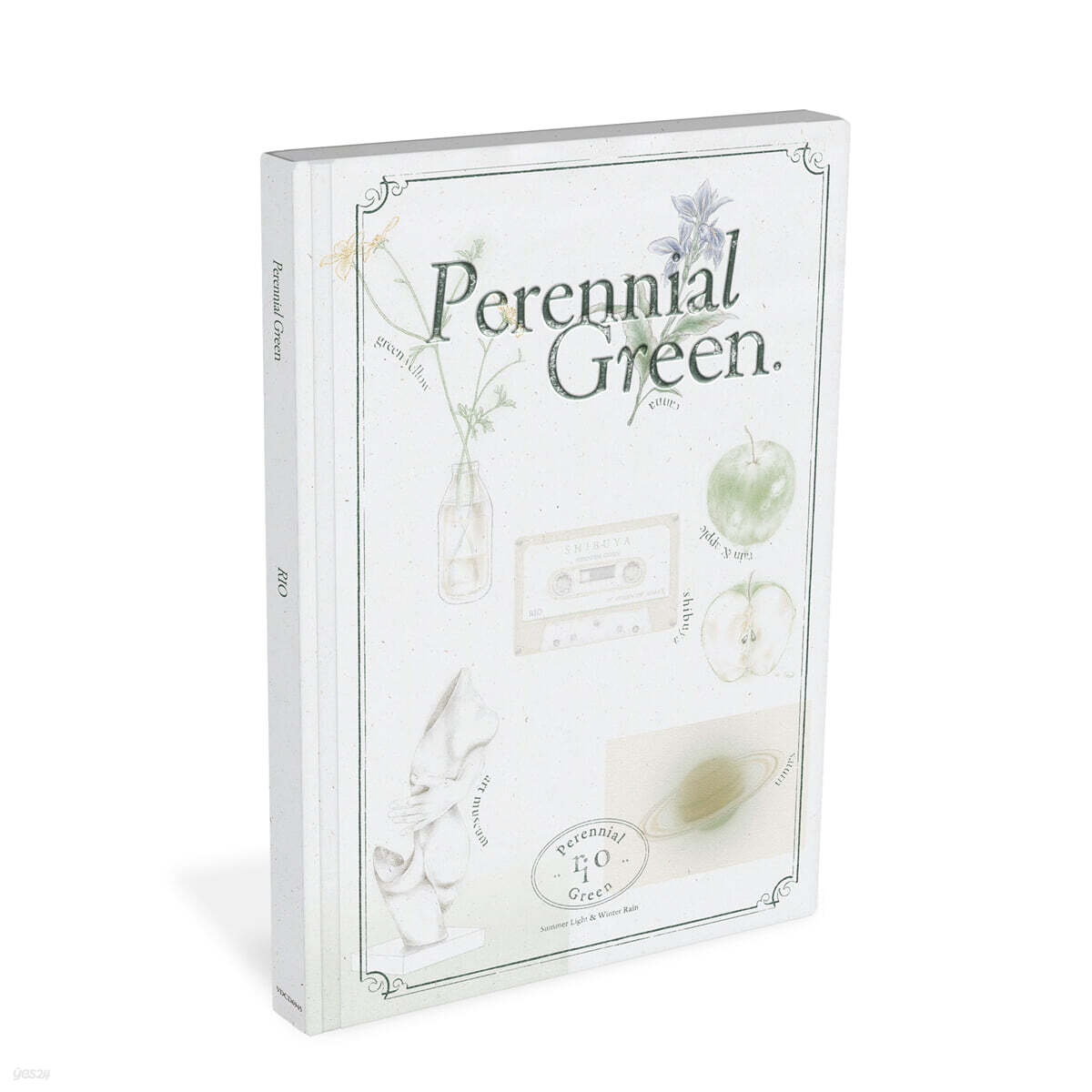 리오 (RIO) - Perennial Green